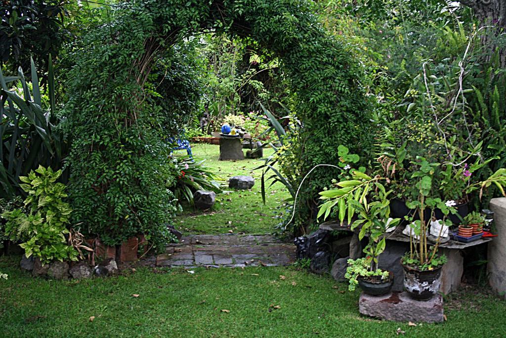 Hostal Saint Mary'S Tababela Eksteriør billede